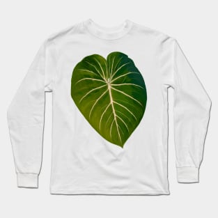 Philodendron gloriosum radiante Long Sleeve T-Shirt